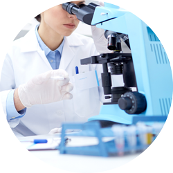 Abbey College Manchester A-Level Biology