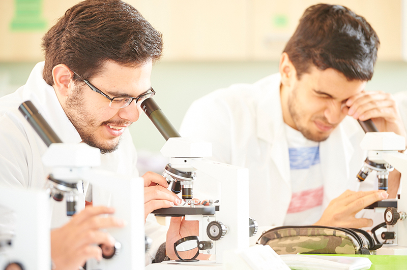 Biology class at Abbey College Manchester